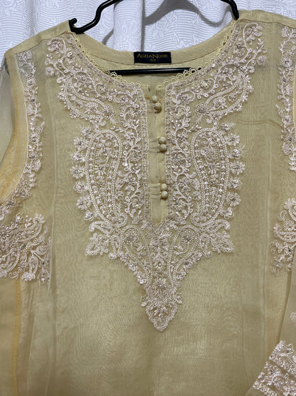 Agah Noor chiffon shirt with dupatta