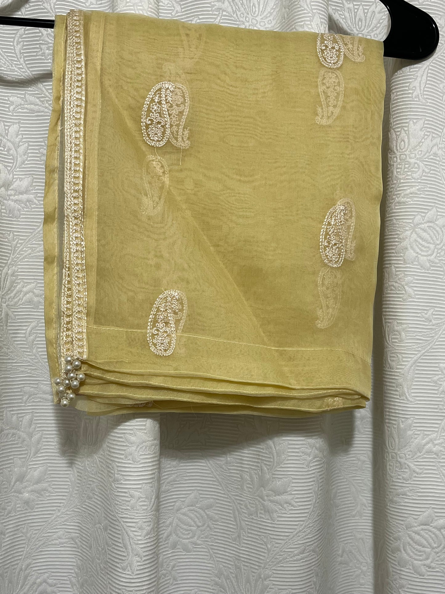 Agah Noor chiffon shirt with dupatta